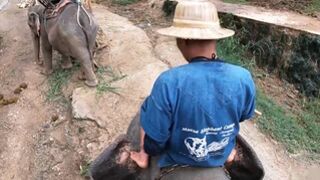 Elephant riding in Thailand with teen couple who had sex afterwards