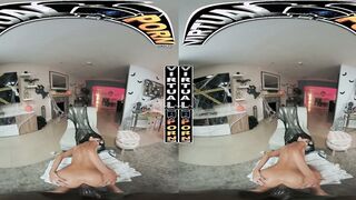 Doggy Delights - POV Compilation #4