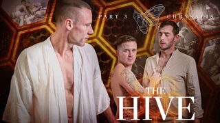 Discover the Transformation in The Hive: Chrysalis with Justin Matthews, Carter Woods, & Andrew Delta