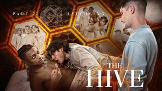 Trevor Harris, Ty Santana, & Jay Wu Explore a Thrilling New World in The Hive: Hatchling